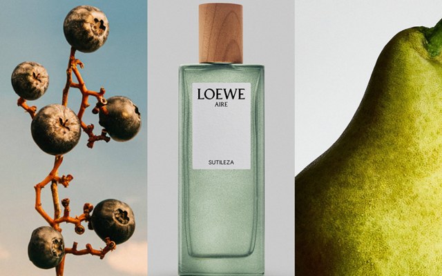 Loewe Aire Sutileza: Khi sự tinh khiết trở thành dấu ấn